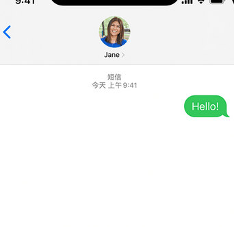 昌邑apple维修iPhone上无法正常发送iMessage信息