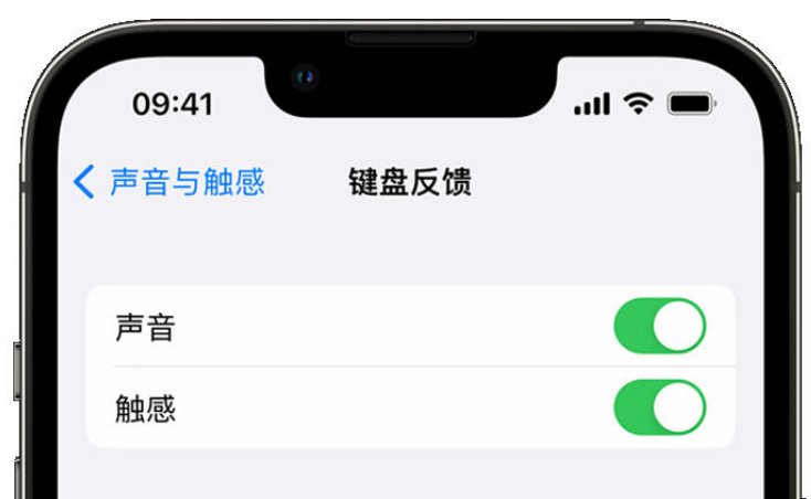 昌邑苹果手机维修分享iPhone 14触感键盘使用方法 