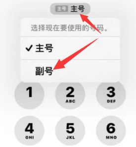 昌邑苹果14维修店分享iPhone 14 Pro Max使用副卡打电话的方法 