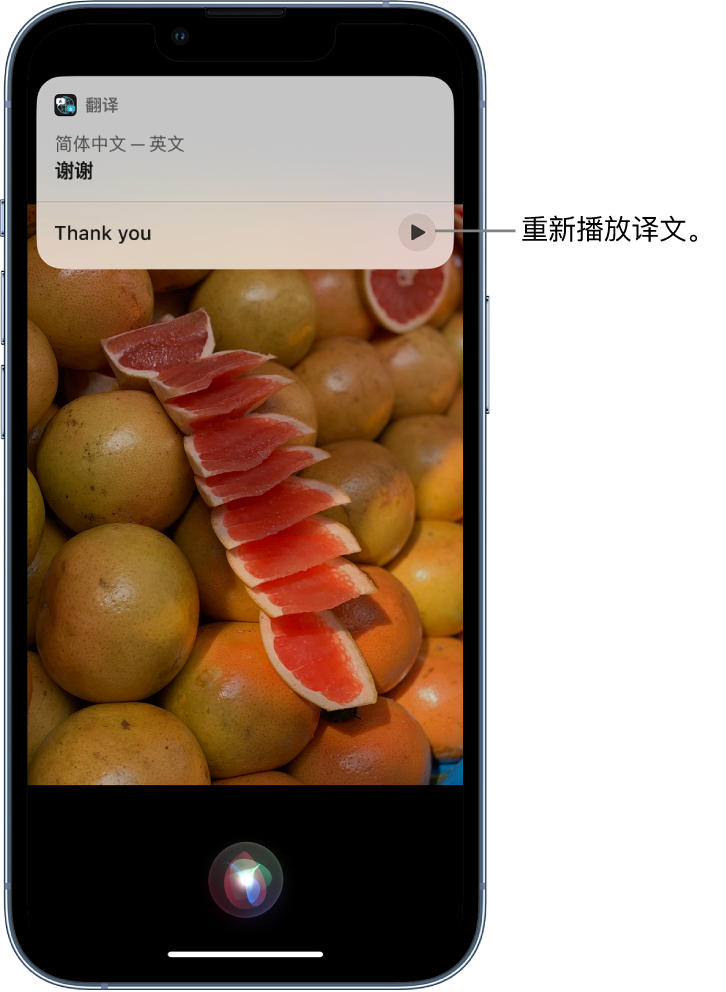 昌邑苹果14维修分享 iPhone 14 机型中使用 Siri：了解 Siri 能帮你做什么 