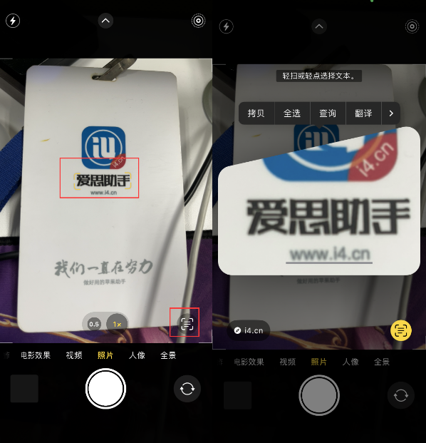 昌邑苹果手机维修分享升级iOS 16后如何通过相机翻译文本 