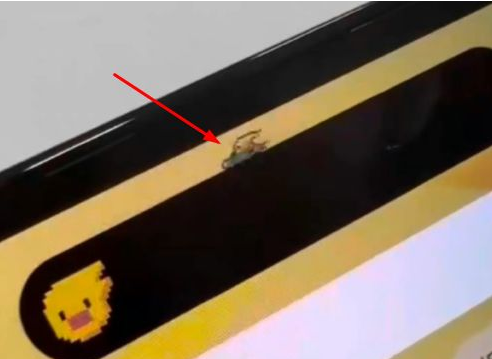 昌邑苹果14维修分享iPhone 14 Pro Max灵动岛怎么养宠物 