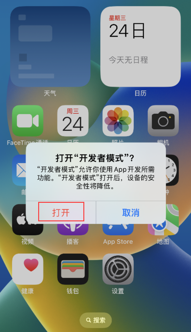 昌邑苹果手机维修分享如何打开开发者模式 