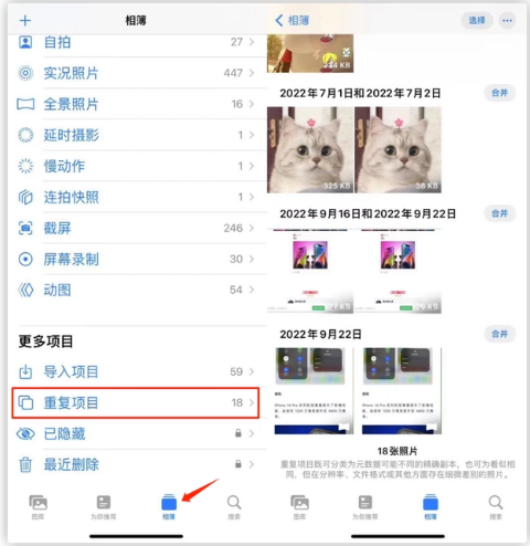 昌邑苹果手机维修分享iOS 16 中相册重复项目功能使用方法 
