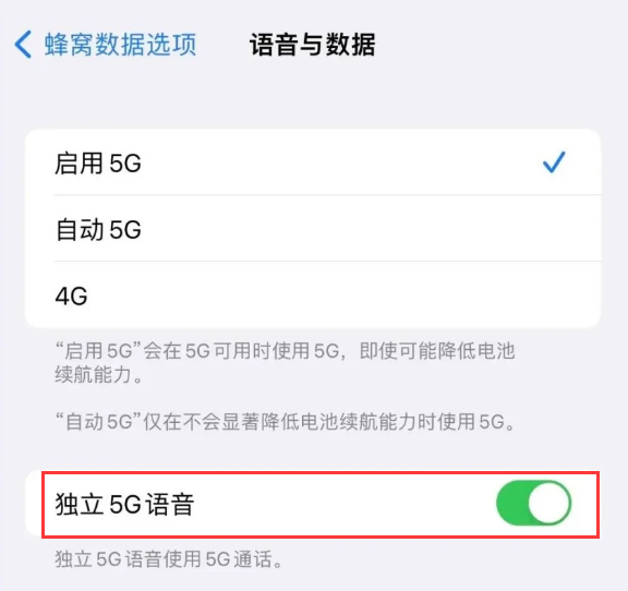 昌邑苹果14维修分享iPhone 14 Pro如何开启VoNR 