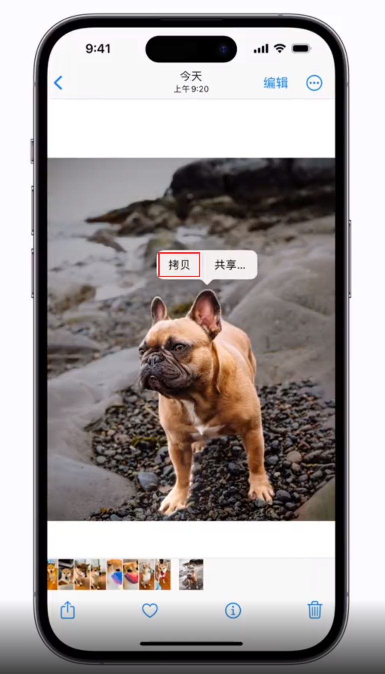 昌邑苹果手机维修分享 iOS 16 自带一键抠图功能 
