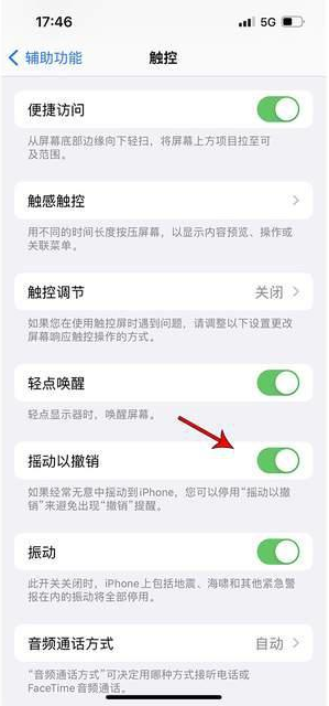 昌邑苹果手机维修分享iPhone手机如何设置摇一摇删除文字 