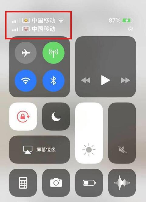 昌邑苹果手机维修分享为 iPhone 12 双卡设置标签 